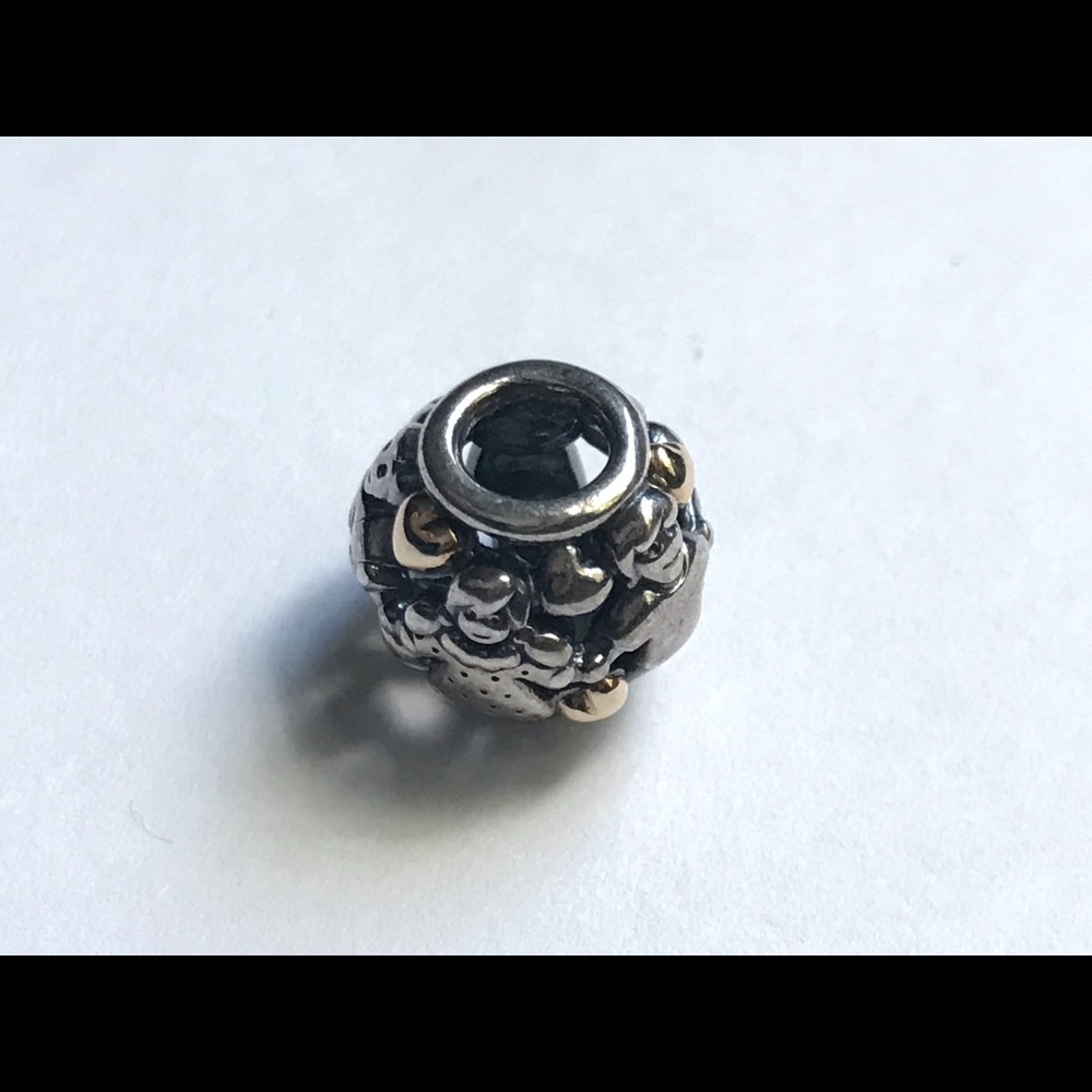 Pandora Bracelet - Picture 3 of 10